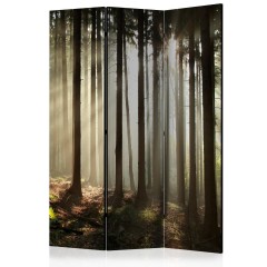 Artgeist 3-teiliges Paravent - Coniferous forest [Room Dividers]