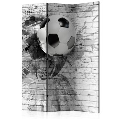 Artgeist 3-teiliges Paravent - Dynamic Football [Room Dividers]
