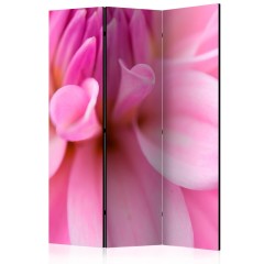 Artgeist 3-teiliges Paravent - Flower petals - dahlia [Room Dividers]