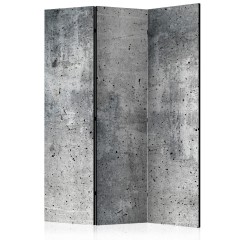 Artgeist 3-teiliges Paravent - Fresh Concrete [Room Dividers]
