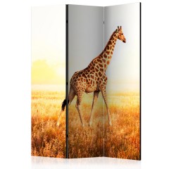 Artgeist 3-teiliges Paravent - giraffe - walk [Room Dividers]