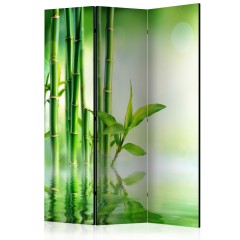 Artgeist 3-teiliges Paravent - Green Bamboo [Room Dividers]
