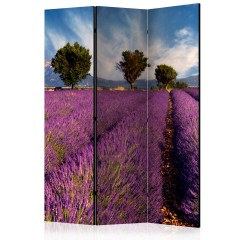 Artgeist 3-teiliges Paravent - Lavender field in Provence, France [Room Dividers]