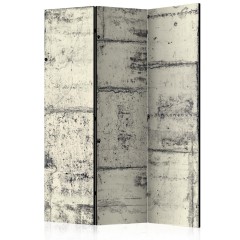 Artgeist 3-teiliges Paravent - Love the Concrete [Room Dividers]