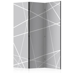 Artgeist 3-teiliges Paravent - Modern Cobweb [Room Dividers]