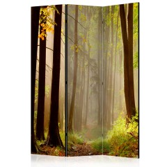 Artgeist 3-teiliges Paravent - Mysterious forest path [Room Dividers]