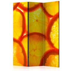 Artgeist 3-teiliges Paravent - Orange slices [Room Dividers]