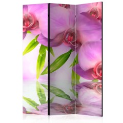 Artgeist 3-teiliges Paravent - Orchid Spa [Room Dividers]