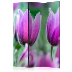 Artgeist 3-teiliges Paravent - Purple spring tulips [Room Dividers]