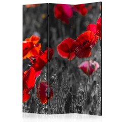 Artgeist 3-teiliges Paravent - Red Poppies [Room Dividers]