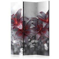 Artgeist 3-teiliges Paravent - Shadow of Passion [Room Dividers]