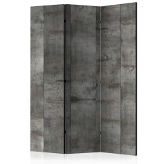 Artgeist 3-teiliges Paravent - Steel design [Room Dividers]