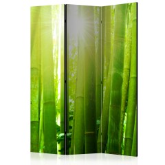 Artgeist 3-teiliges Paravent - Sun and bamboo [Room Dividers]