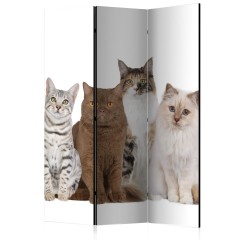 Artgeist 3-teiliges Paravent - Sweet Cats [Room Dividers]