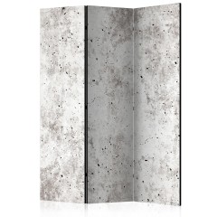 Artgeist 3-teiliges Paravent - Urban Style: Concrete [Room Dividers]
