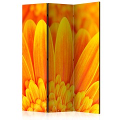 Artgeist 3-teiliges Paravent - Yellow gerbera daisies [Room Dividers]