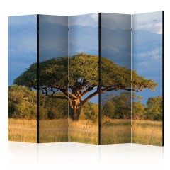 Artgeist 5-teiliges Paravent - African acacia tree, Hwange National Park, Zimbabwe II [Room Dividers]