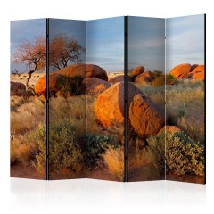 Artgeist 5-teiliges Paravent - African landscape, Namibia II [Room Dividers]