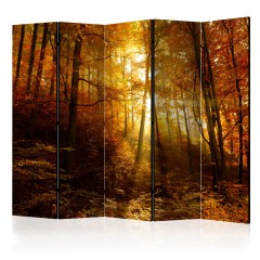 Artgeist 5-teiliges Paravent - Autumn Illumination II [Room Dividers]