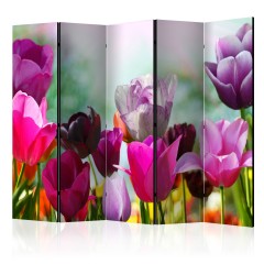 Artgeist 5-teiliges Paravent - Beautiful Tulips II [Room Dividers]