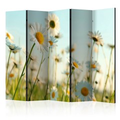 Artgeist 5-teiliges Paravent - Daisies - spring meadow II [Room Dividers]