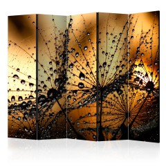 Artgeist 5-teiliges Paravent - Dandelions in the Rain II [Room Dividers]