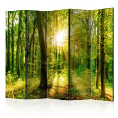 Artgeist 5-teiliges Paravent - Forest Rays II [Room Dividers]