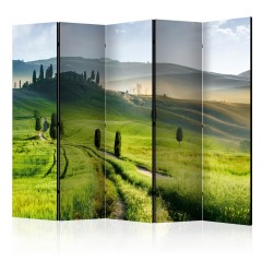 Artgeist 5-teiliges Paravent - Morning in the countryside II [Room Dividers]