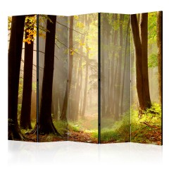 Artgeist 5-teiliges Paravent - Mysterious forest path II [Room Dividers]