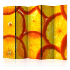 Artgeist 5-teiliges Paravent - Orange slices II [Room Dividers]