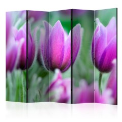 Artgeist 5-teiliges Paravent - Purple spring tulips II [Room Dividers]