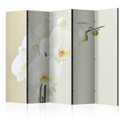 Artgeist 5-teiliges Paravent - White orchid II [Room Dividers]