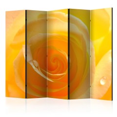 Artgeist 5-teiliges Paravent - Yellow rose II [Room Dividers]