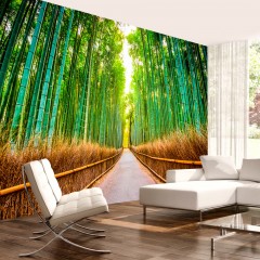 Selbstklebende Fototapete - Bamboo Forest