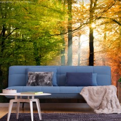 Selbstklebende Fototapete - Forest Colours