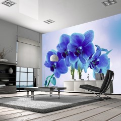 Basera® Selbstklebende Fototapete Orchideenmotiv 10110906-122, mit UV-Schutz
