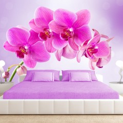 Basera® Selbstklebende Fototapete Orchideenmotiv 10110906-120, mit UV-Schutz