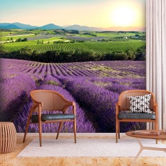 Artgeist Selbstklebende Fototapete - Lavender Field