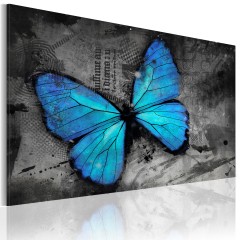 Artgeist Wandbild - Studie des Schmetterlings