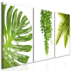 Artgeist Wandbild - Beautiful Palm Trees (3 Parts)