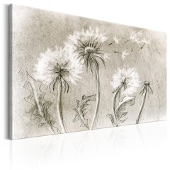 Artgeist Wandbild - Dandelions (Pencil Artwork)