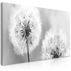 Artgeist Wandbild - Fluffy Dandelions (1 Part) Grey Wide