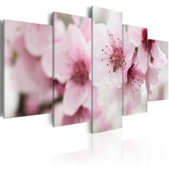 Artgeist Wandbild - Kirschblüte - freundlich und sanft