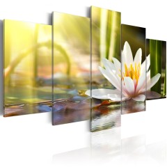 Artgeist Wandbild - Sunny Lotus