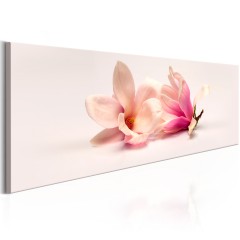 Artgeist Wandbild - Beautiful Magnolias