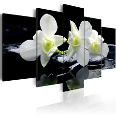 Artgeist Wandbild - Melancholic orchids
