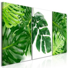 Artgeist Wandbild - Palm Leaves (3 Parts)