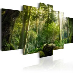 Artgeist Wandbild -  The Beauty of the Forest
