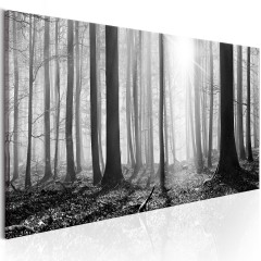 Artgeist Wandbild - Black and White Forest