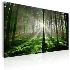 Artgeist Wandbild - Emerald Forest II